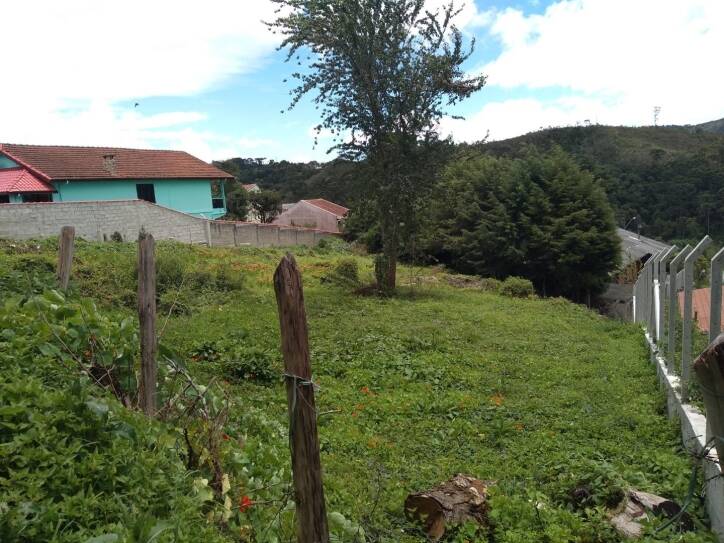 Terreno - Venda