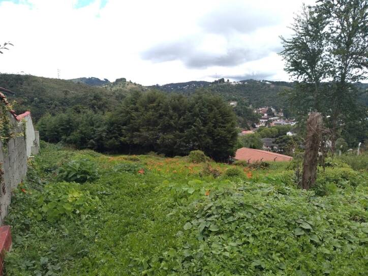 Terreno - Venda