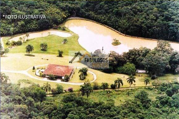 Área 500 mil m² - V.G.Paulista (Km 44,5 R.Tavares) PROMOÇÃO
