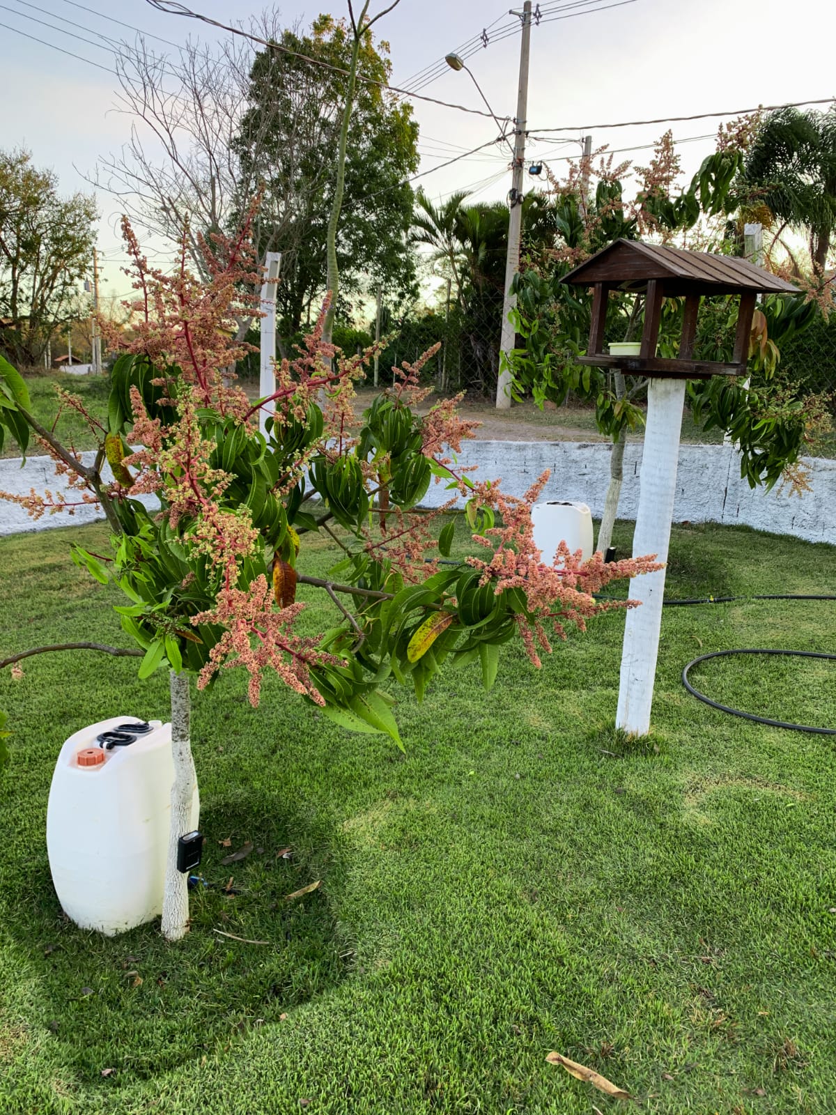 Descubra seu Paraíso Particular no Recanto da Castelo!