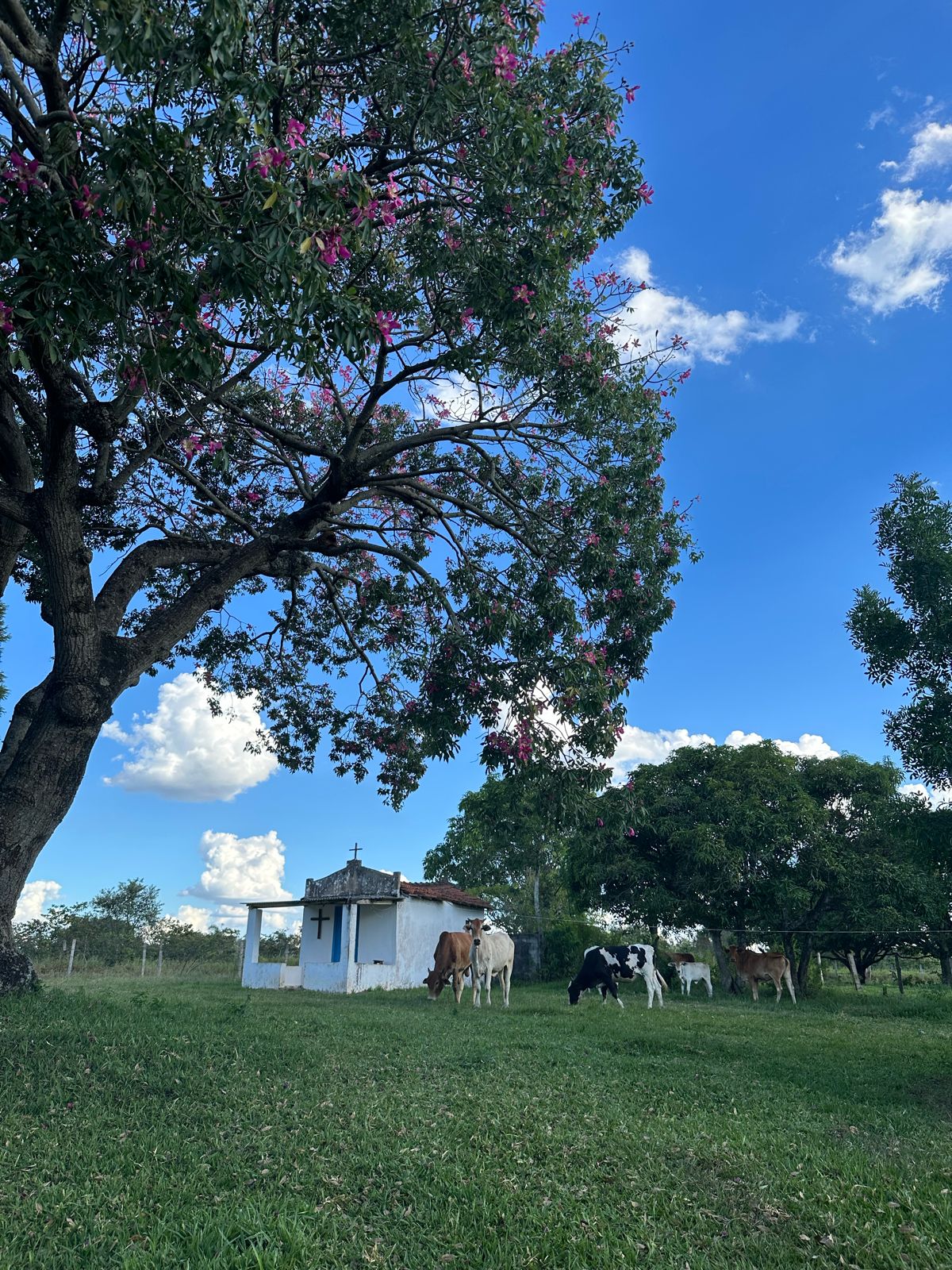 Maravilhoso Sítio à Venda em Porangaba - SP