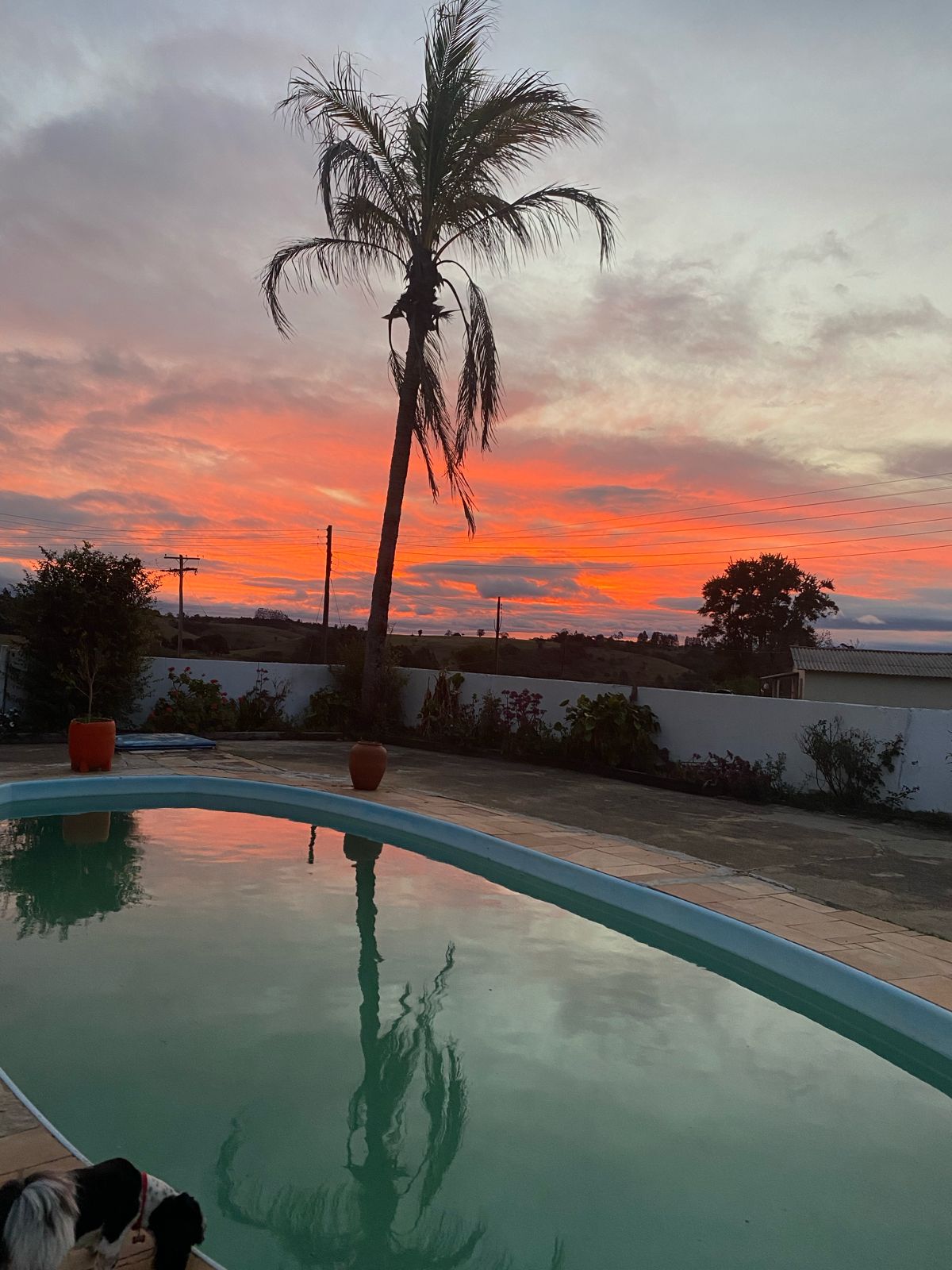 Sítio - Venda, Porangaba, SP