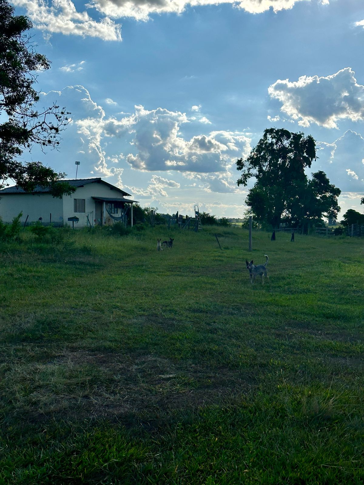 Maravilhoso Sítio à Venda em Porangaba - SP
