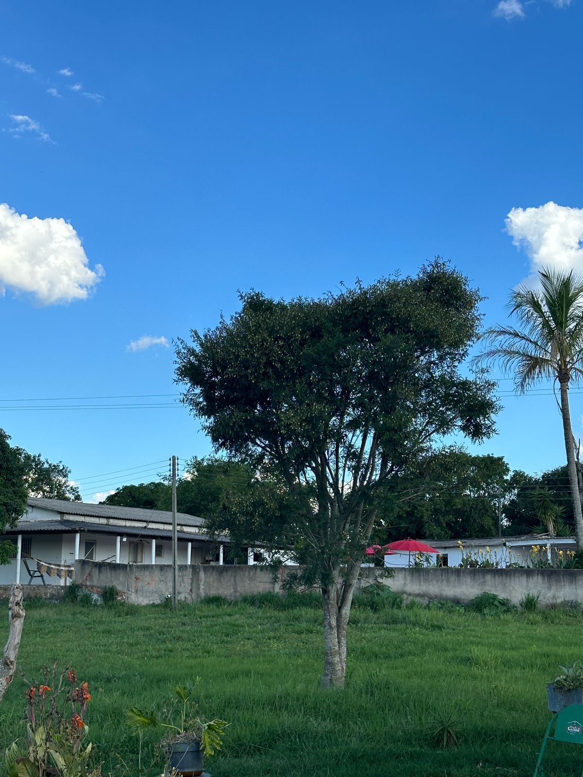 Maravilhoso Sítio à Venda em Porangaba - SP