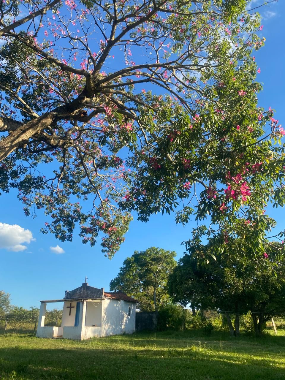 Maravilhoso Sítio à Venda em Porangaba - SP