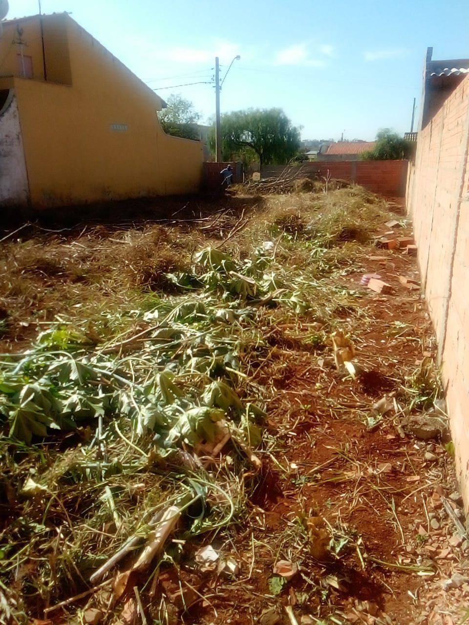 Terreno Plano de 250m², Todo Murado e Pronto para Construção no Bairro Astórias - Tatuí 