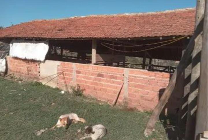 VENDA IMPERDÍVEL: SÍTIO DE 3,5 ALQUEIRES EM TATUÍ - SP! R$ 550 mil