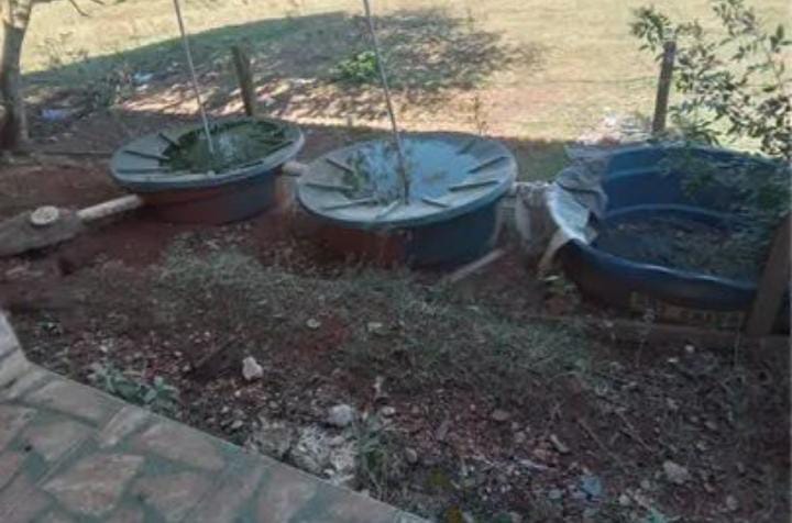 VENDA IMPERDÍVEL: SÍTIO DE 3,5 ALQUEIRES EM TATUÍ - SP! R$ 550 mil