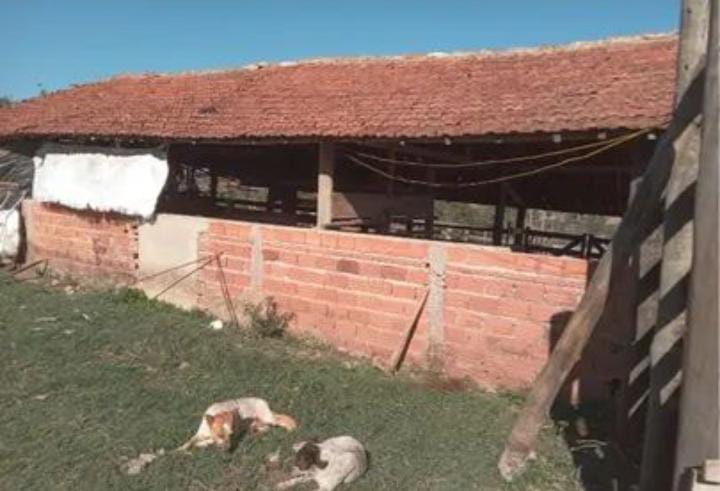 VENDA IMPERDÍVEL: SÍTIO DE 3,5 ALQUEIRES EM TATUÍ - SP! R$ 550 mil