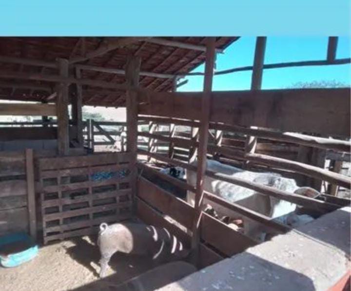 VENDA IMPERDÍVEL: SÍTIO DE 3,5 ALQUEIRES EM TATUÍ - SP! R$ 550 mil