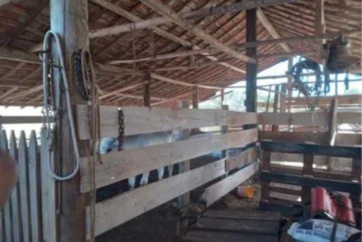 VENDA IMPERDÍVEL: SÍTIO DE 3,5 ALQUEIRES EM TATUÍ - SP! R$ 550 mil