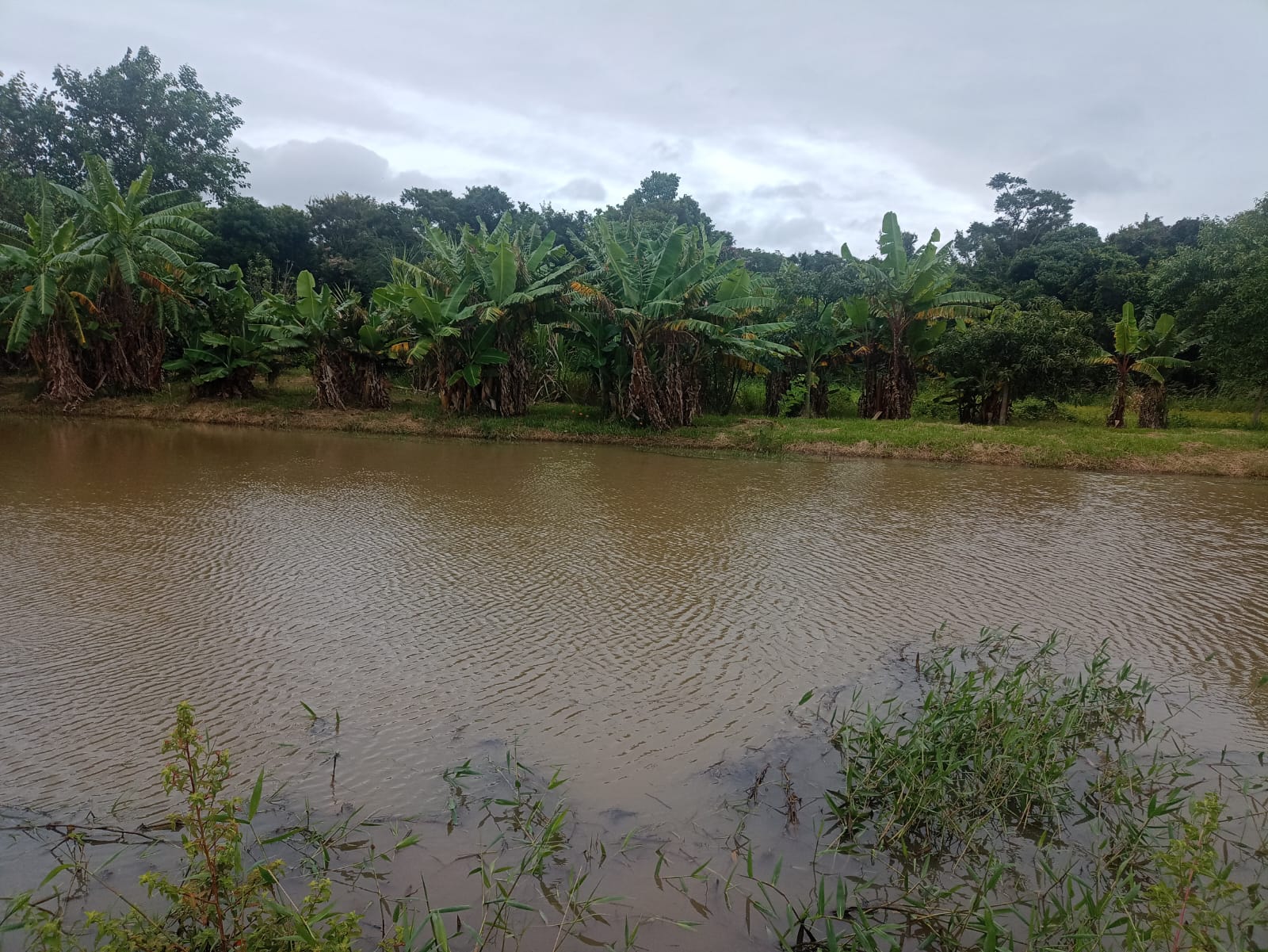 EXCELENTE OPORTUNIDADE: CHÁCARA À VENDA EM CESÁRIO LANGE! 