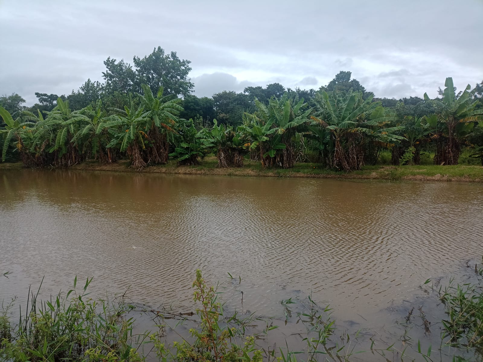 EXCELENTE OPORTUNIDADE: CHÁCARA À VENDA EM CESÁRIO LANGE! 