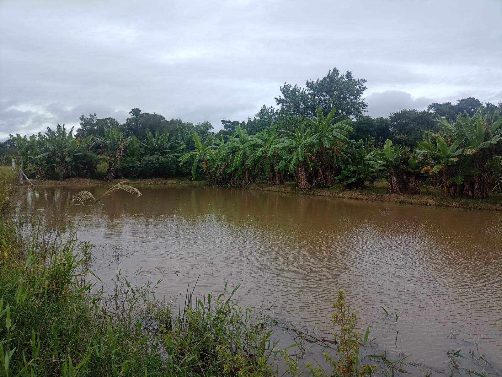 EXCELENTE OPORTUNIDADE: CHÁCARA À VENDA EM CESÁRIO LANGE! 