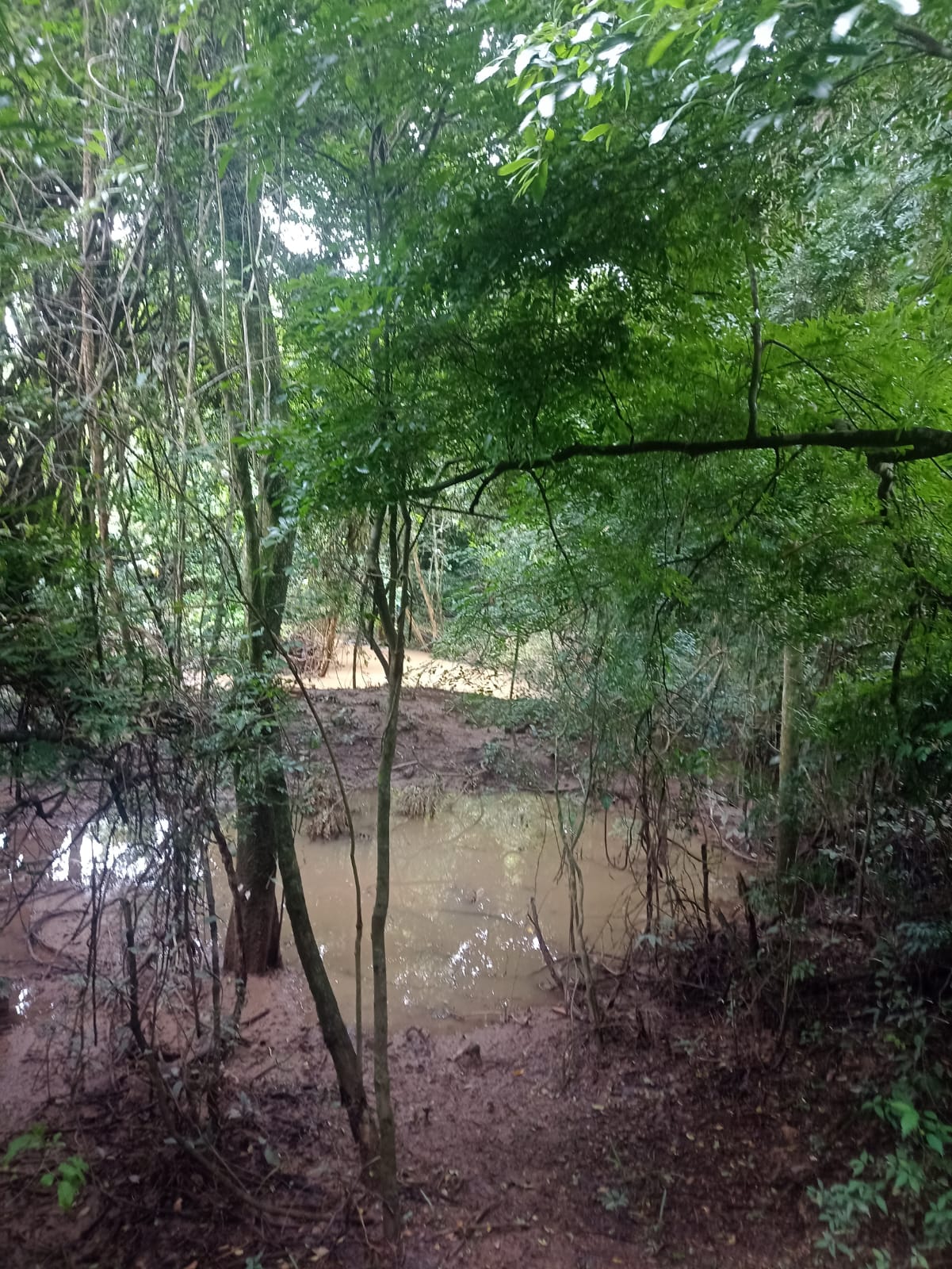 EXCELENTE OPORTUNIDADE: CHÁCARA À VENDA EM CESÁRIO LANGE! 