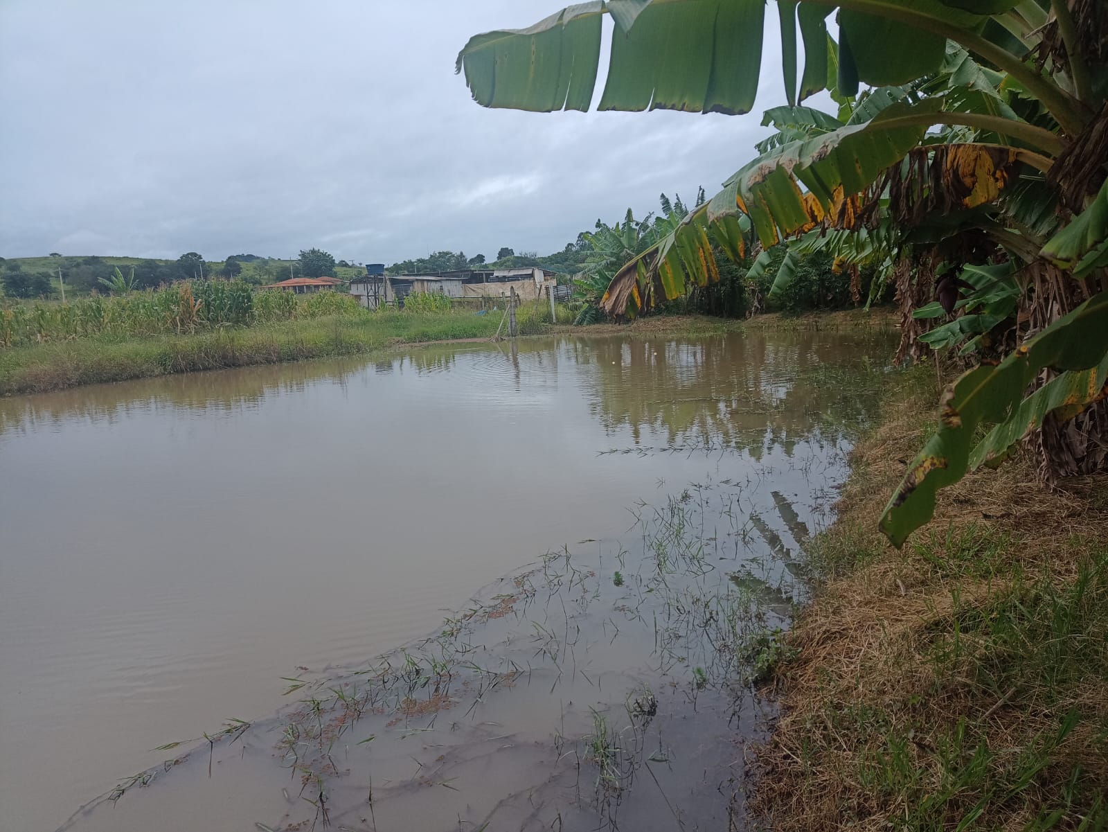 Chácara - Venda, Rio da VArzea, Cesário Lange, SP