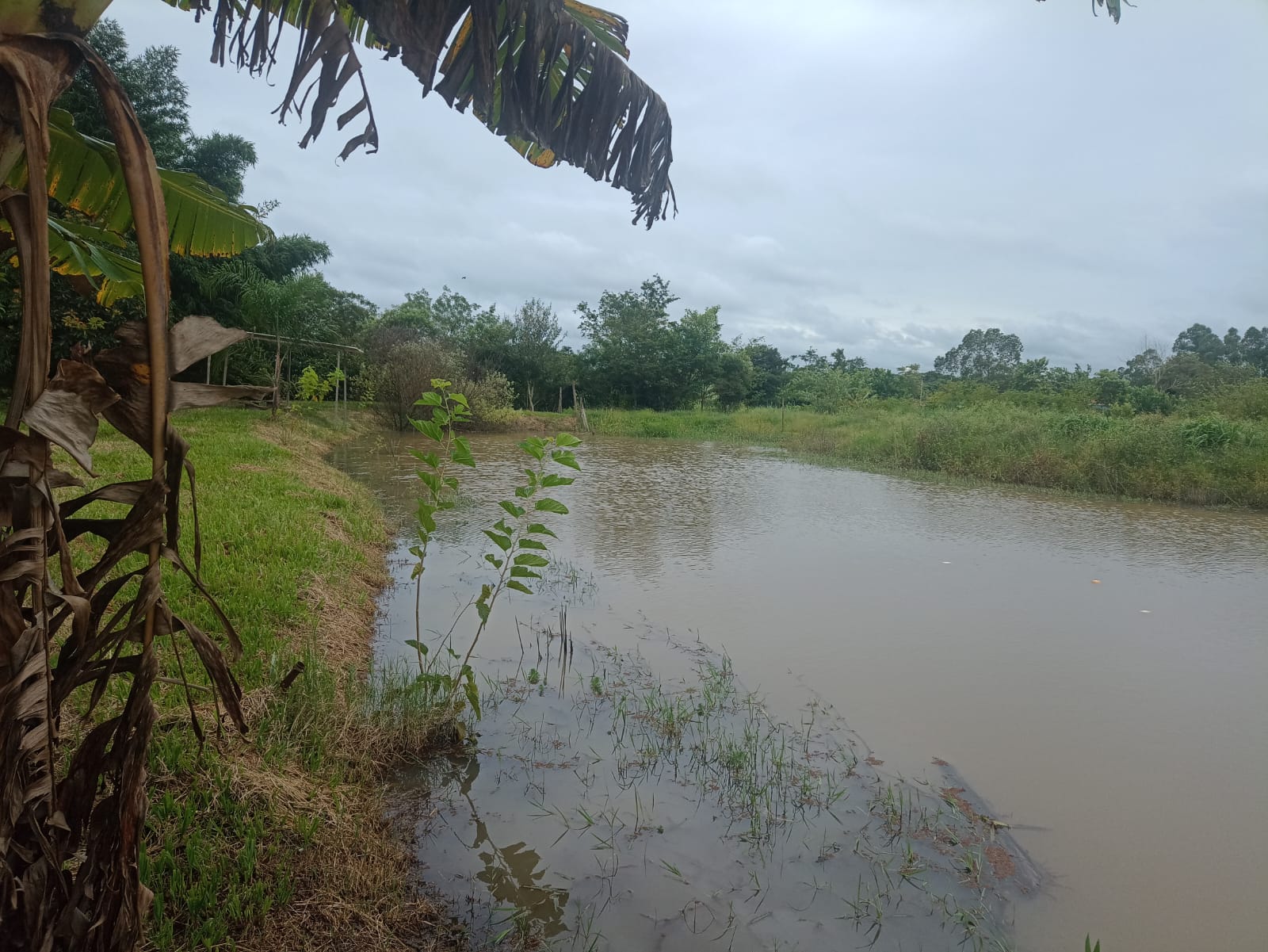 EXCELENTE OPORTUNIDADE: CHÁCARA À VENDA EM CESÁRIO LANGE! 