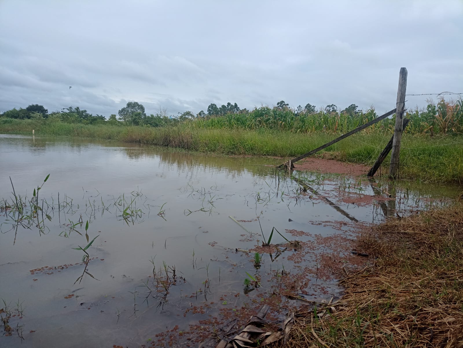 EXCELENTE OPORTUNIDADE: CHÁCARA À VENDA EM CESÁRIO LANGE! 