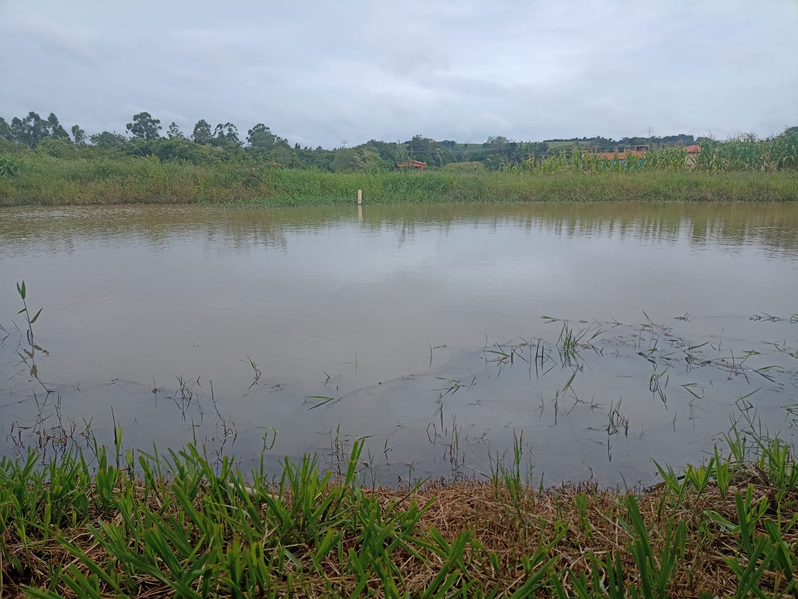 EXCELENTE OPORTUNIDADE: CHÁCARA À VENDA EM CESÁRIO LANGE! 