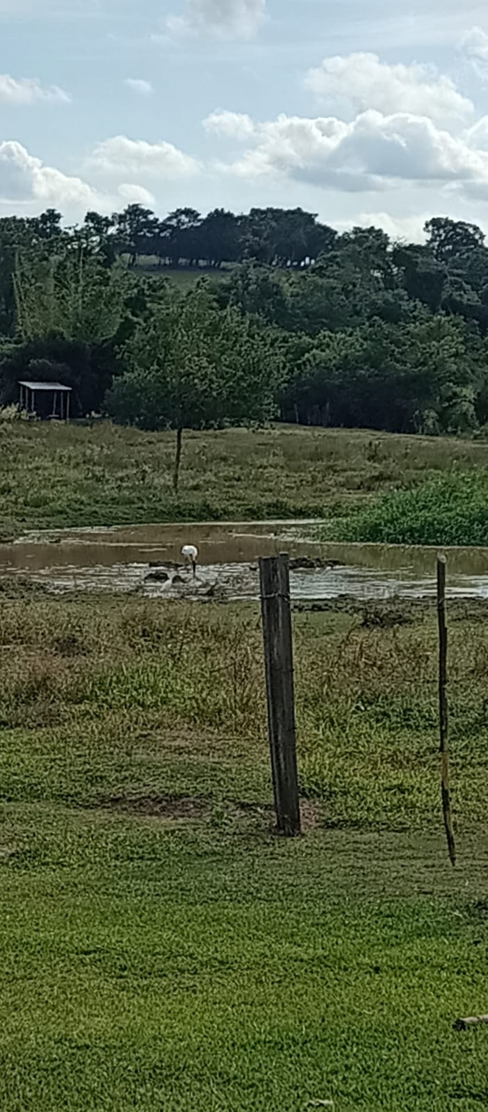 EXCELENTE OPORTUNIDADE: CHÁCARA À VENDA EM CESÁRIO LANGE! 