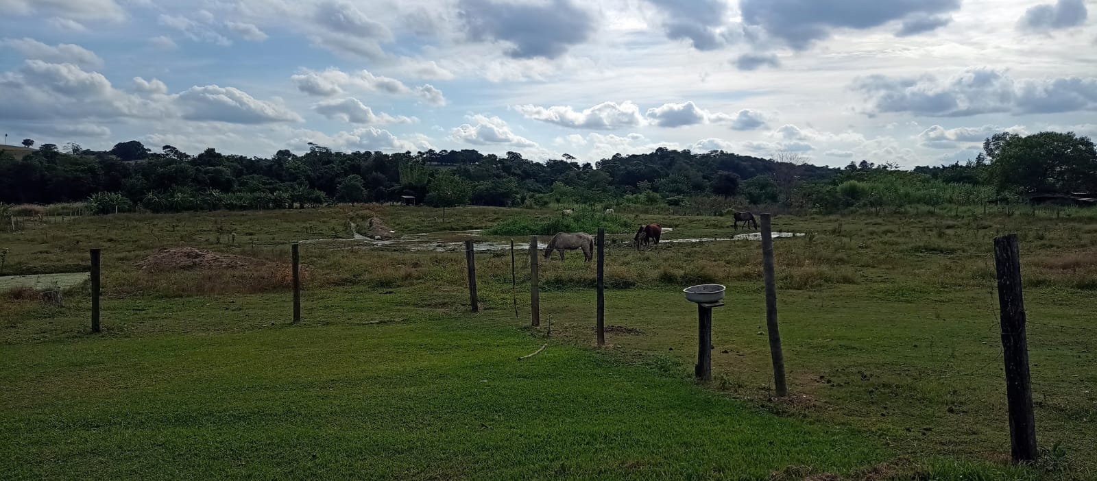 EXCELENTE OPORTUNIDADE: CHÁCARA À VENDA EM CESÁRIO LANGE! 
