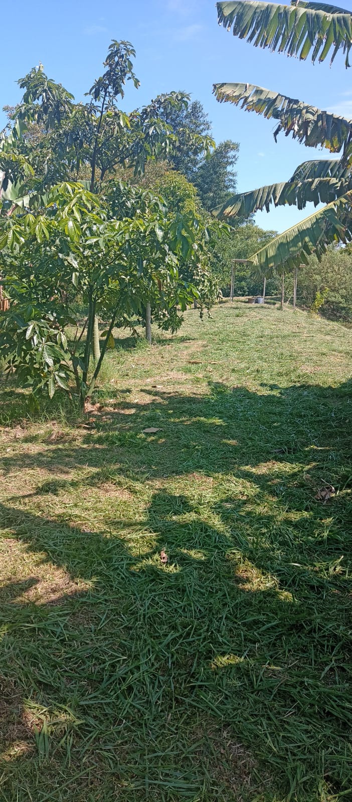 EXCELENTE OPORTUNIDADE: CHÁCARA À VENDA EM CESÁRIO LANGE! 