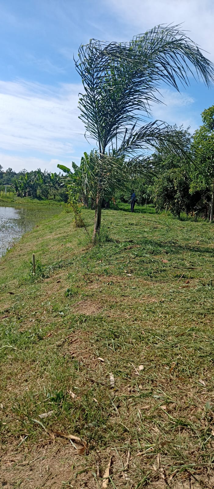EXCELENTE OPORTUNIDADE: CHÁCARA À VENDA EM CESÁRIO LANGE! 