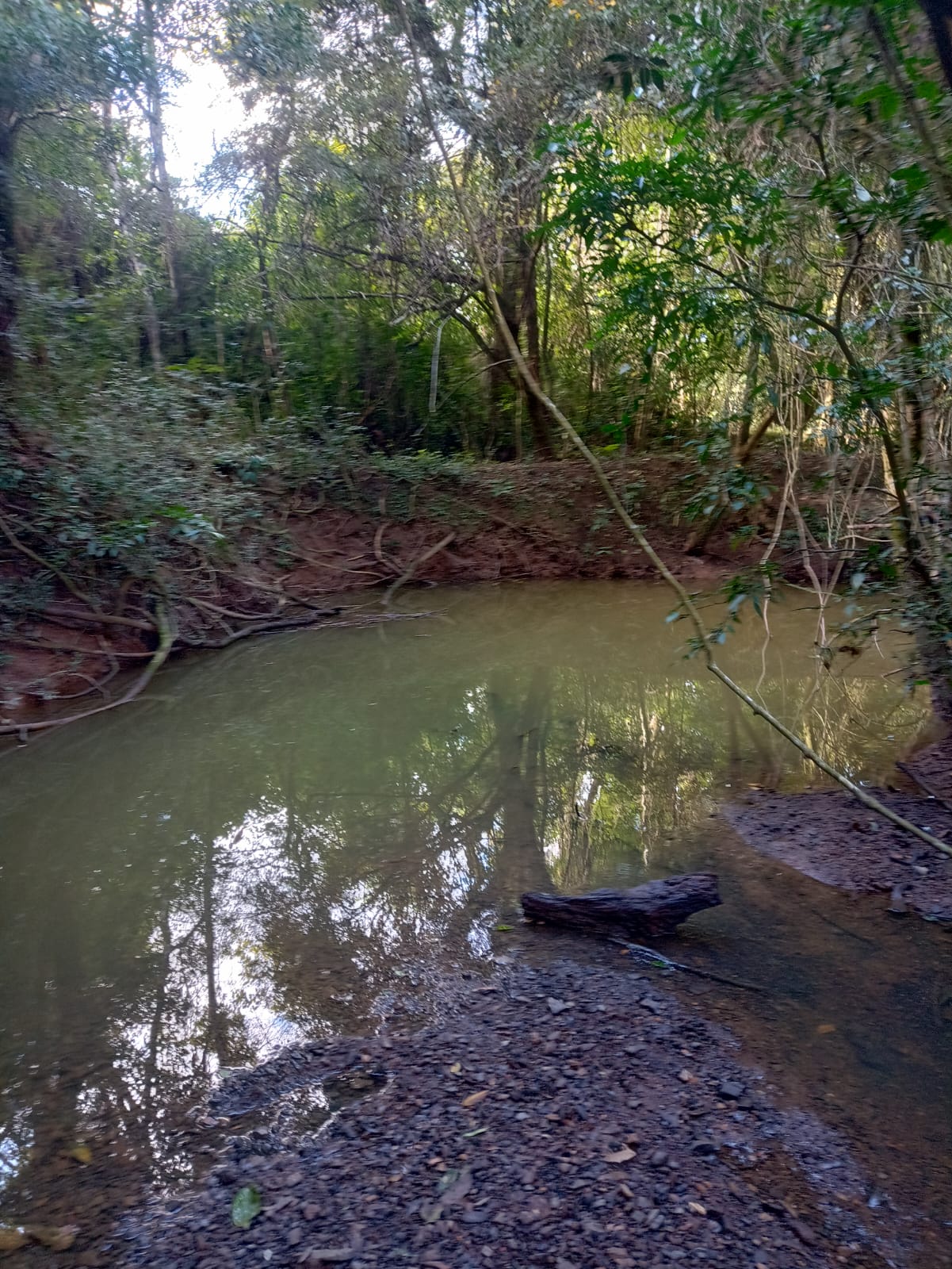 EXCELENTE OPORTUNIDADE: CHÁCARA À VENDA EM CESÁRIO LANGE! 