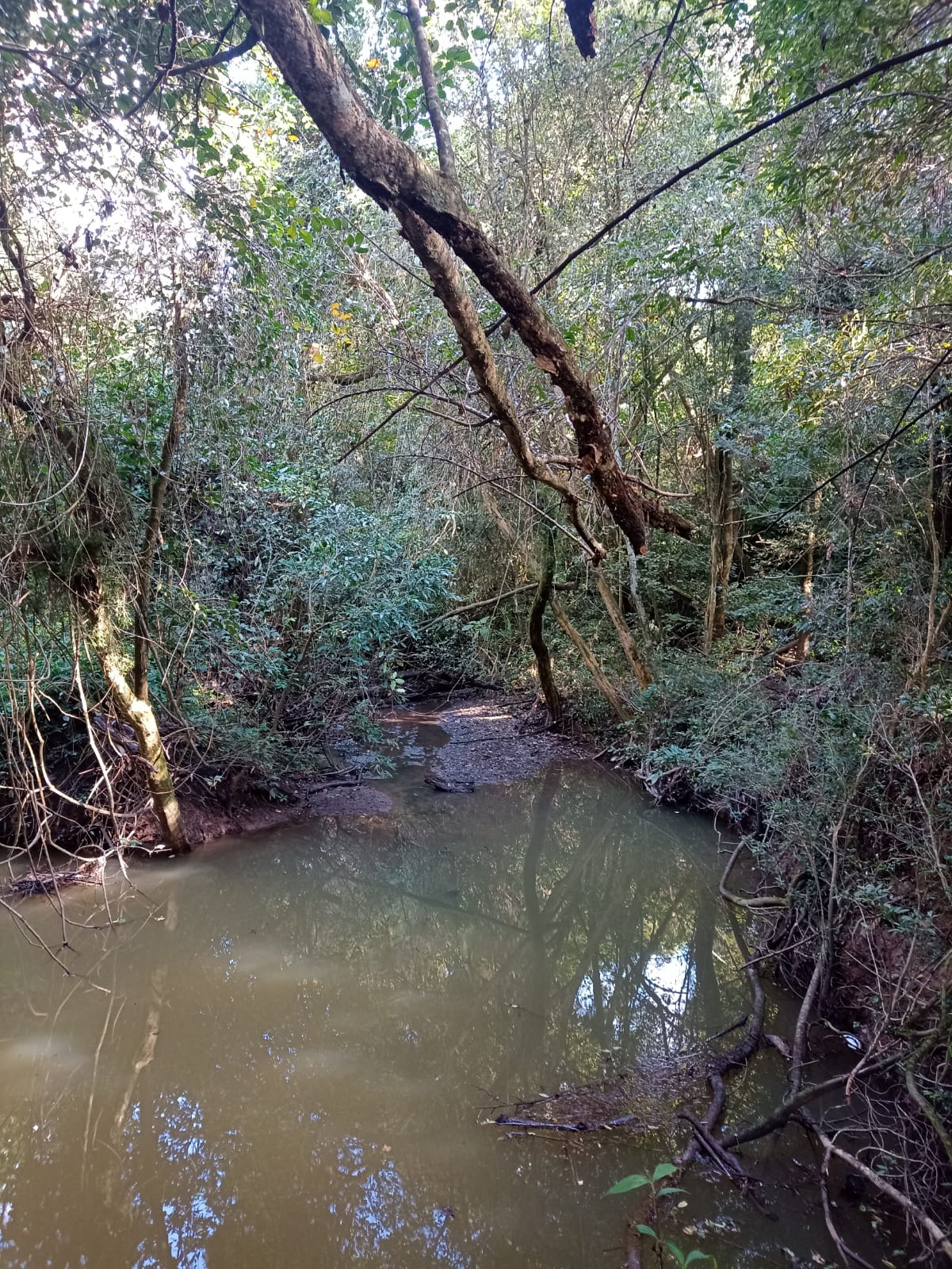 EXCELENTE OPORTUNIDADE: CHÁCARA À VENDA EM CESÁRIO LANGE! 
