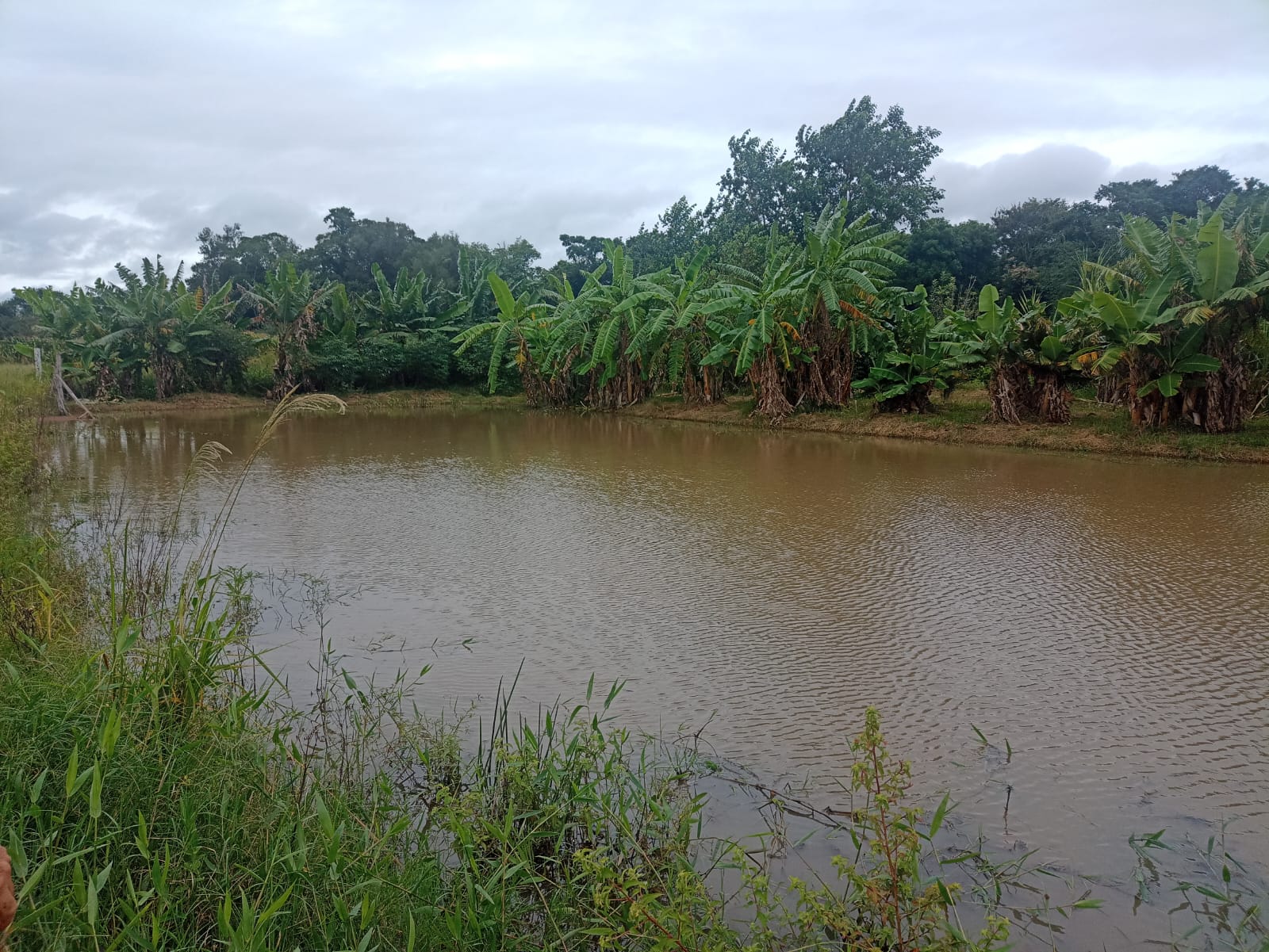 EXCELENTE OPORTUNIDADE: CHÁCARA À VENDA EM CESÁRIO LANGE! 