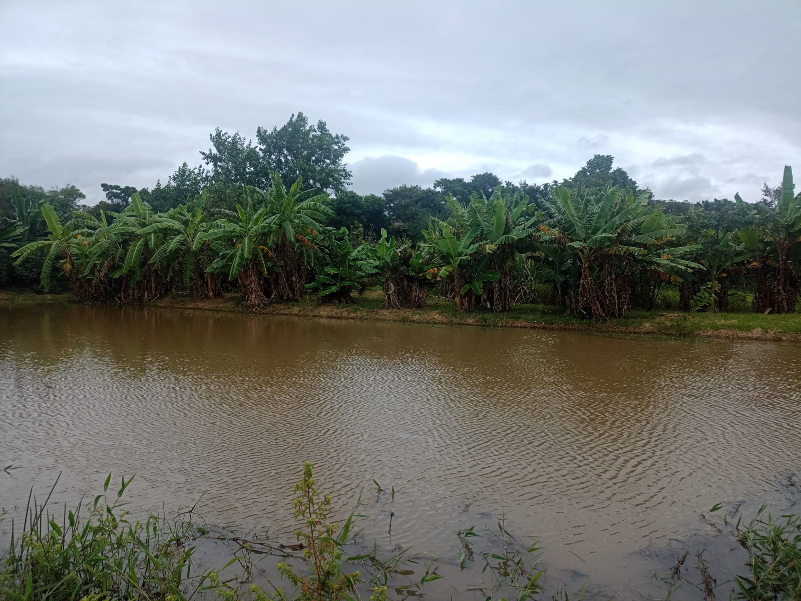 EXCELENTE OPORTUNIDADE: CHÁCARA À VENDA EM CESÁRIO LANGE! 