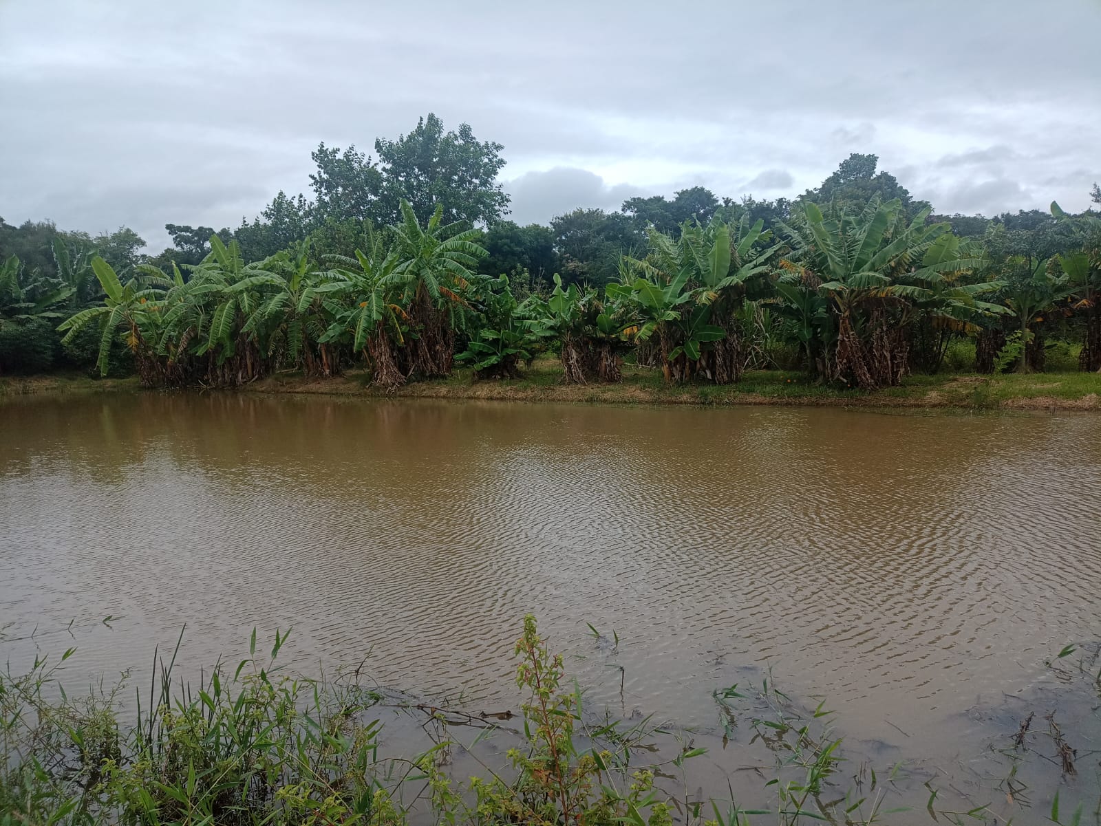 EXCELENTE OPORTUNIDADE: CHÁCARA À VENDA EM CESÁRIO LANGE! 