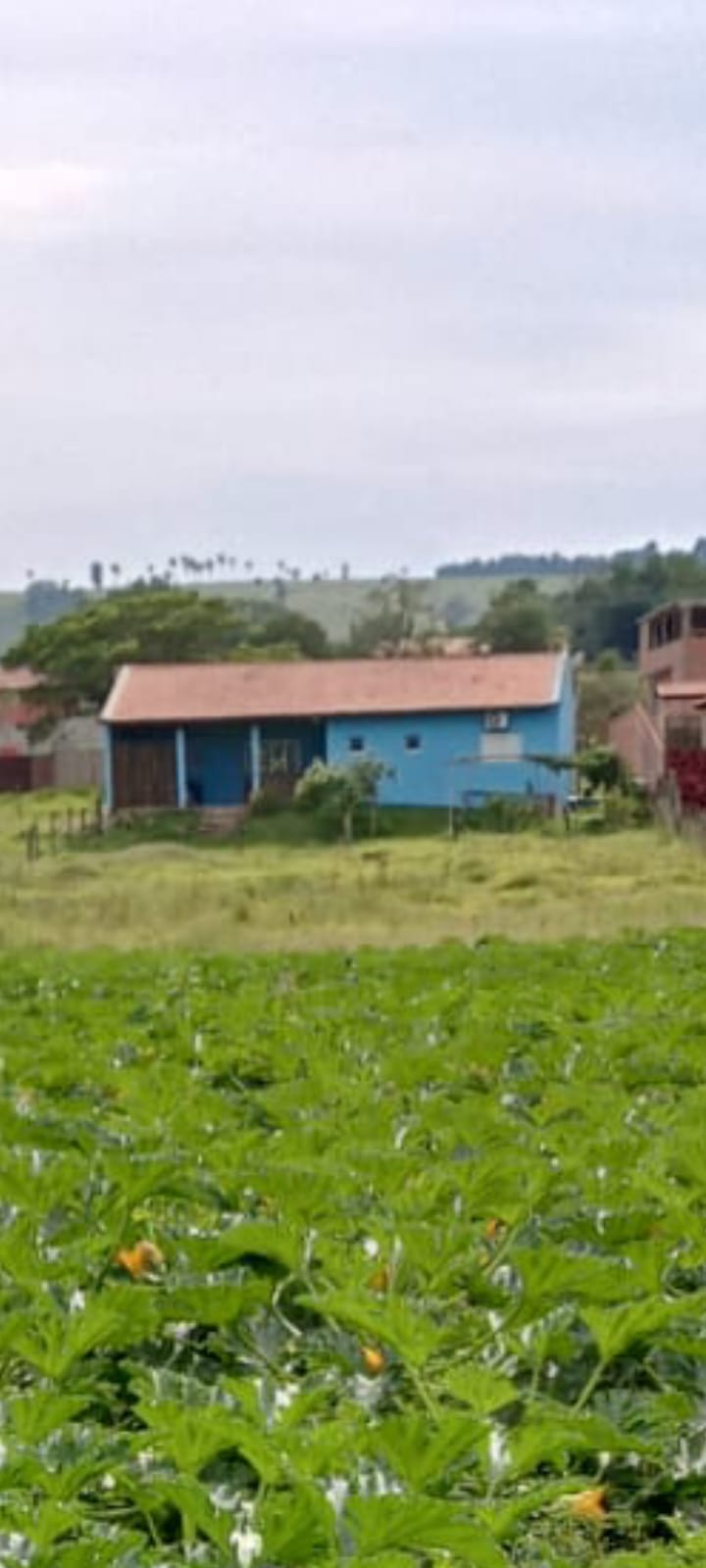EXCELENTE OPORTUNIDADE: CHÁCARA À VENDA EM CESÁRIO LANGE! 