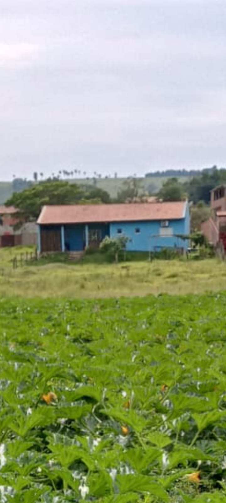 EXCELENTE OPORTUNIDADE: CHÁCARA À VENDA EM CESÁRIO LANGE! 