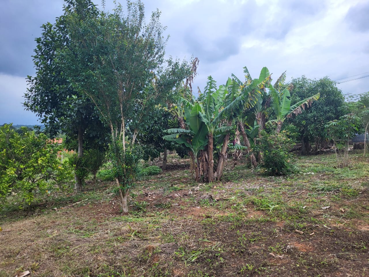 Chácara à Venda em Vista Alegre, Araçoiaba da Serra - Oportunidade Imperdível!