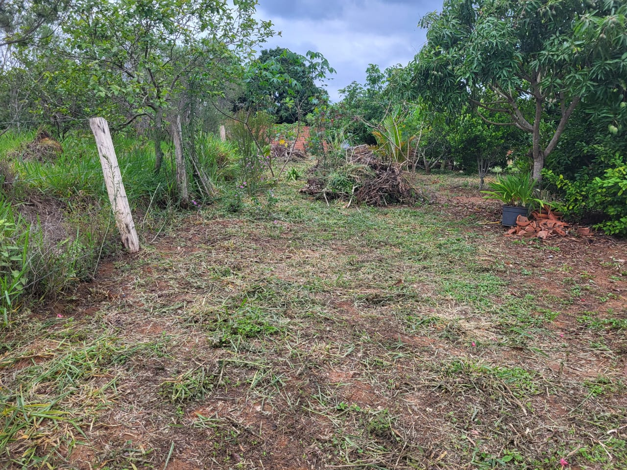 Chácara à Venda em Vista Alegre, Araçoiaba da Serra - Oportunidade Imperdível!