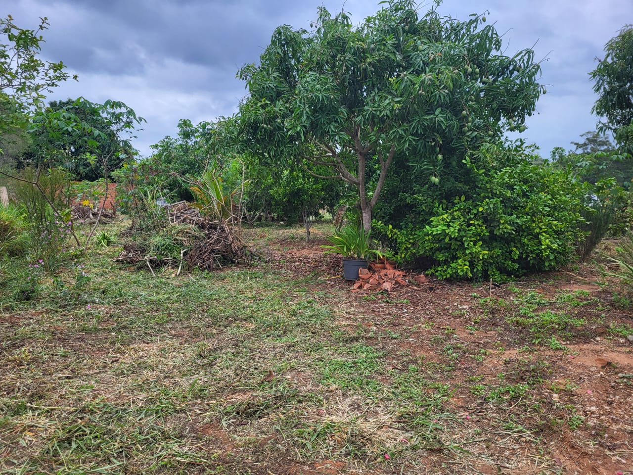 Chácara à Venda em Vista Alegre, Araçoiaba da Serra - Oportunidade Imperdível!