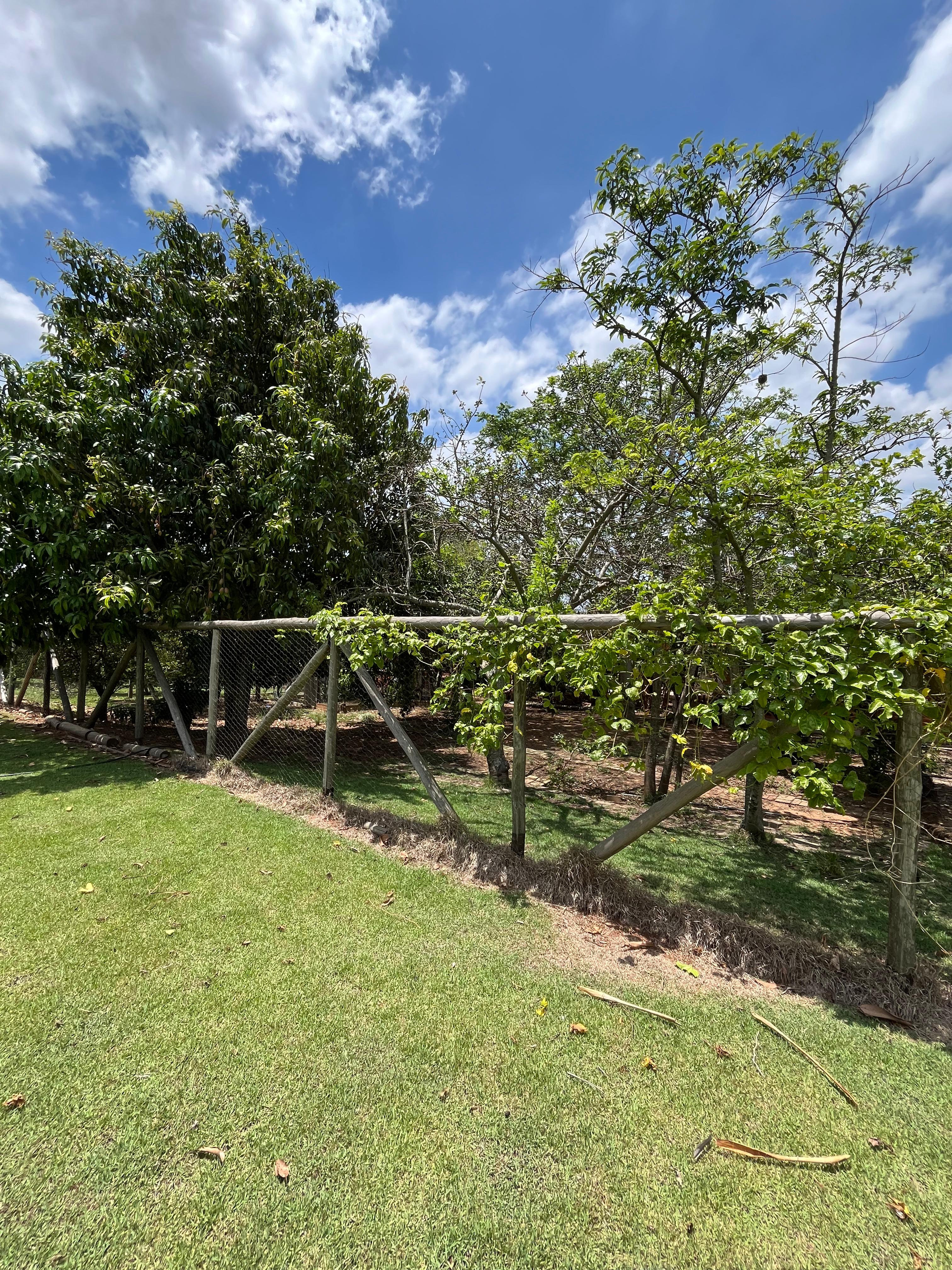 Viva o Sonho em Grande Estilo no Condomínio Ecopark - km 129 da Rodovia Castello Branco