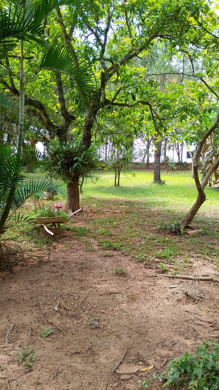 Chácara Recanto Beija Flor Charmosa e Completa em Tatuí/SP – Sua Escapada para a Tranquilidade
