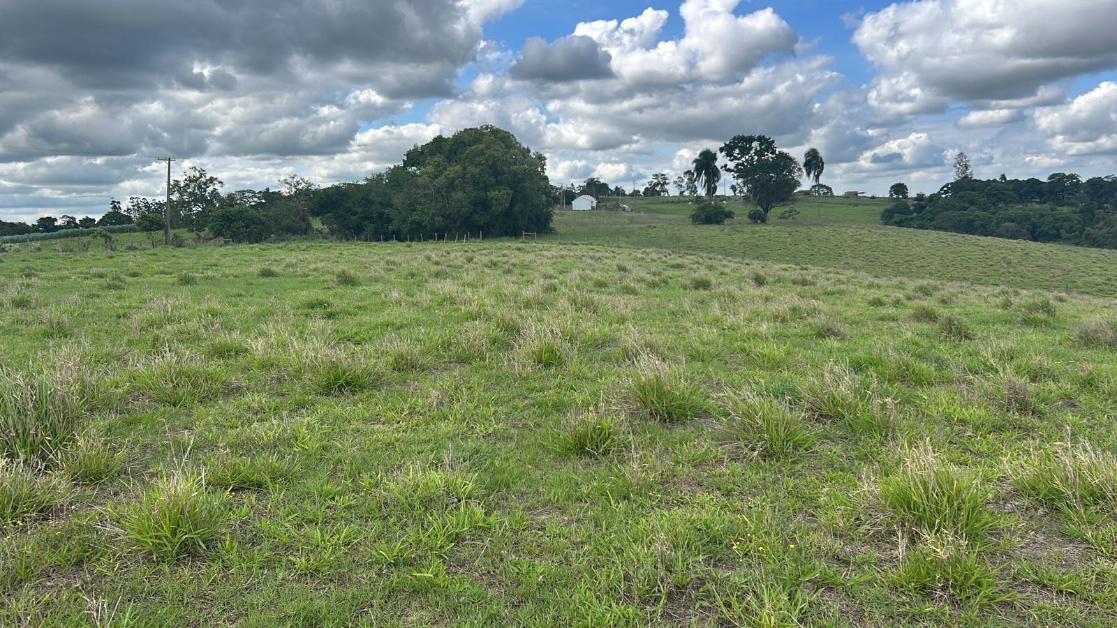 Vendo 10 Alqueires de Terra no Bairro Campininha - Quadra/SP 