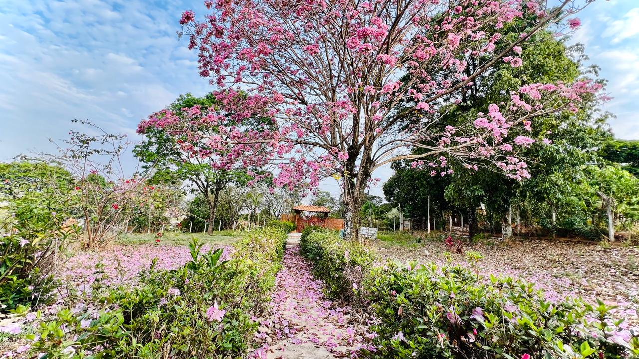 Chácara 2 Quartos 3.226m² à Venda no Jardim Valparaíso, Boituva - R$ 650.000
