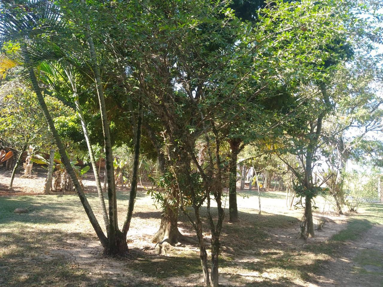 Vendo Chácara com 2.152m² em Tatuí-SP, próximo ao asfalto, escriturada