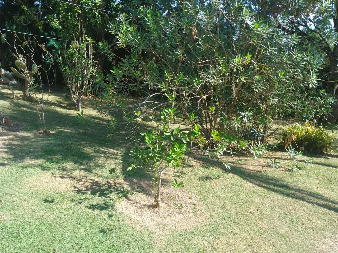 Vendo Chácara com 2.152m² em Tatuí-SP, próximo ao asfalto, escriturada