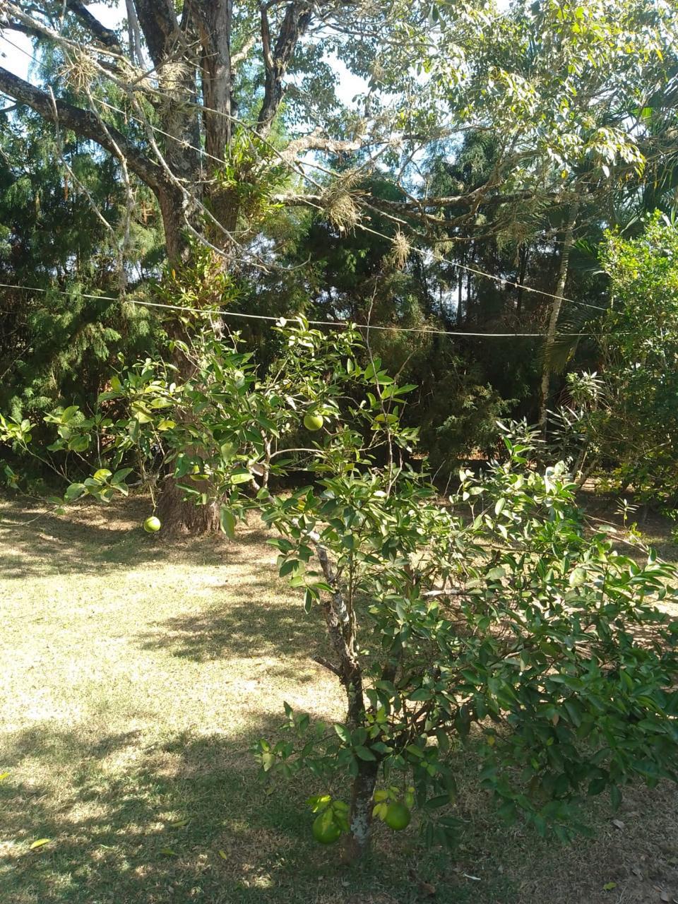 Vendo Chácara com 2.152m² em Tatuí-SP, próximo ao asfalto, escriturada