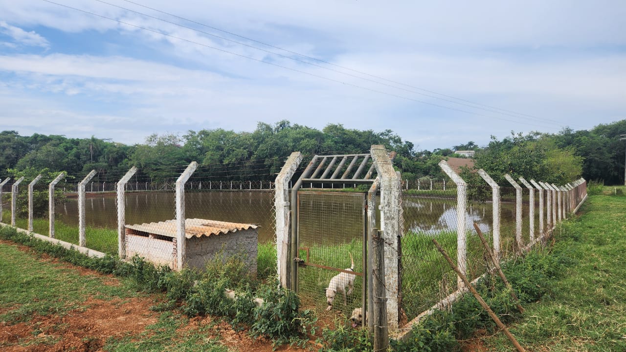 Chácara de Alto Padrão com Piscina, Suítes e Estrutura Completa por R$ 1,7 Mi
