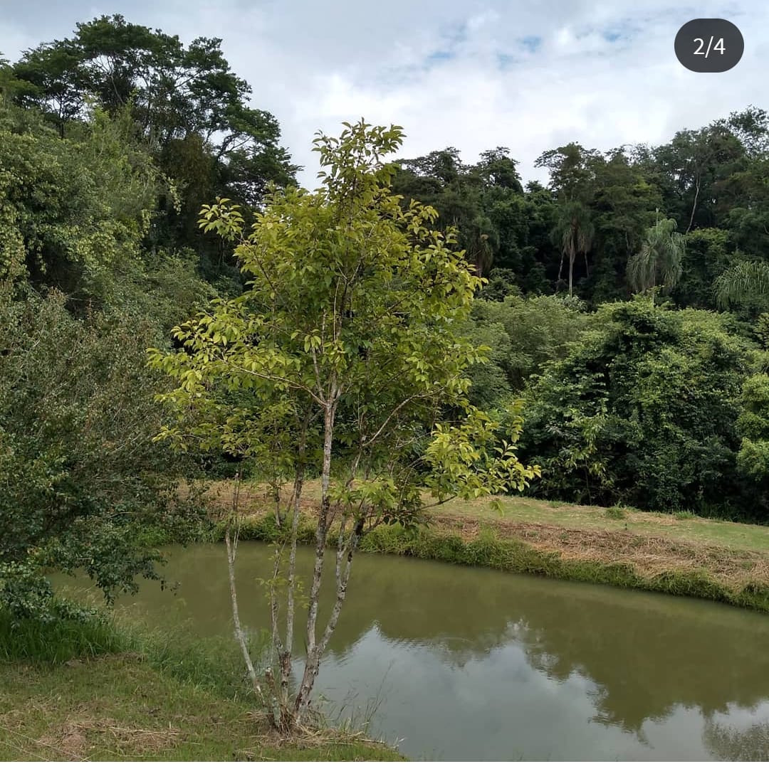 Chácara dos Sonhos à Venda no Santuário Nossa Senhora de Fátima – Tatuí/SP