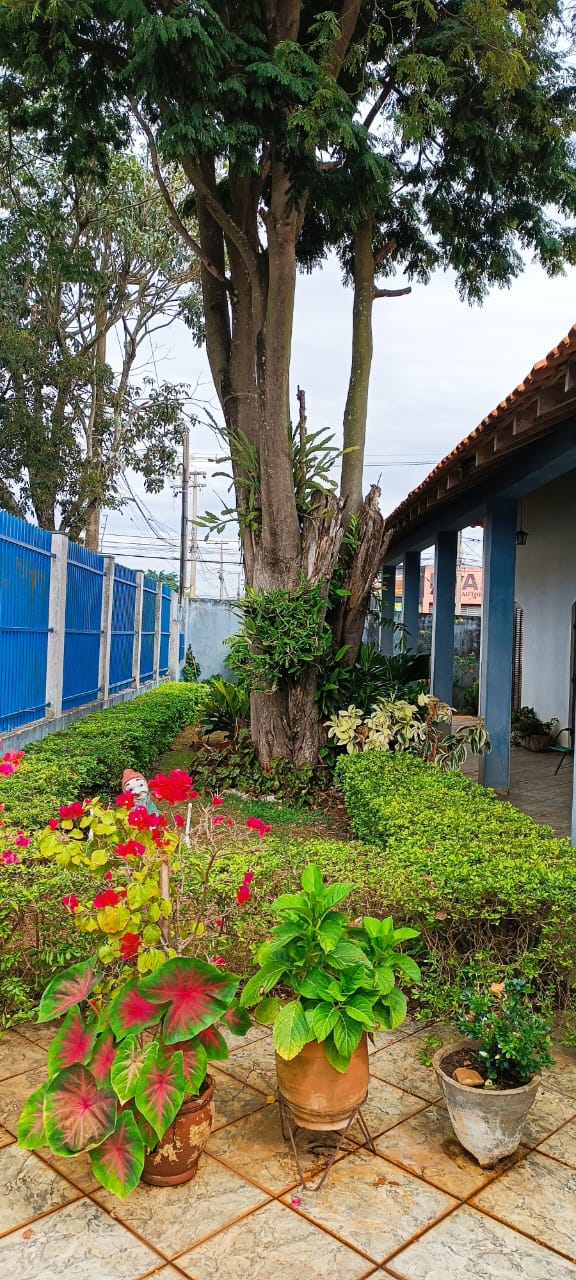 Aproveite: Casa com alma de chácara no coração de Tatuí!
