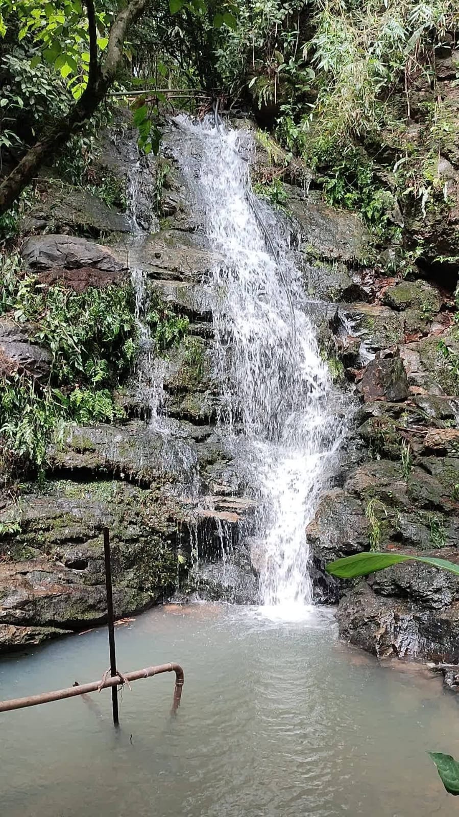 Granja à Venda em Itapetininga-SP 