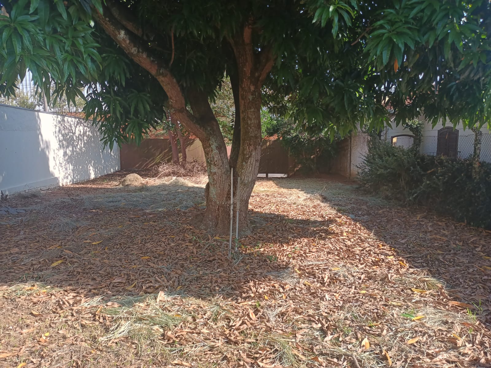 Terreno - Venda, Jardim Andrea Ville, Tatuí, SP