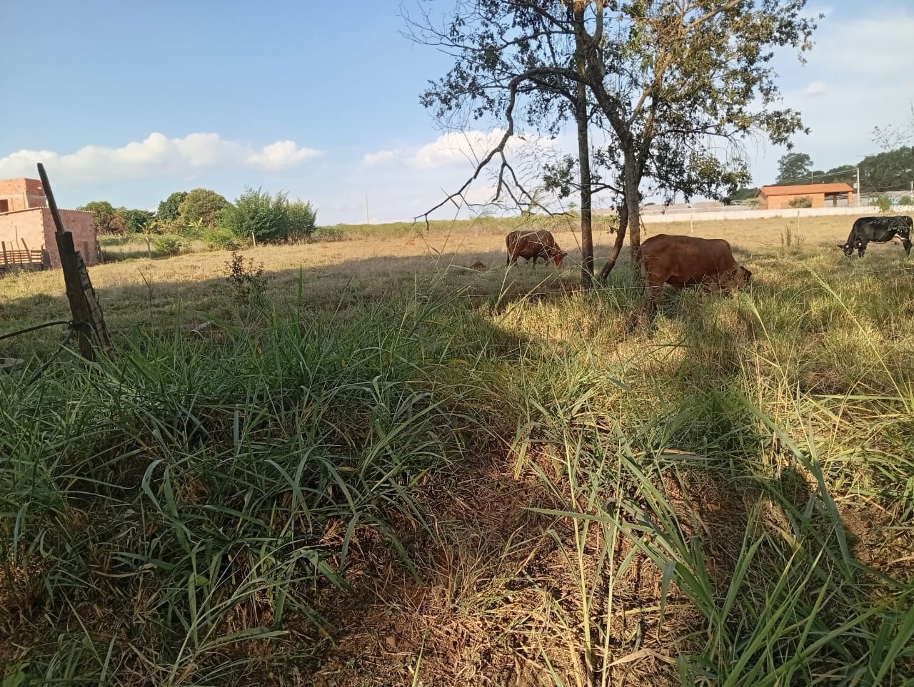 Terreno de 3.000 m² à Venda em Tatuí – Pronto para Construir, com Poço e Localização Estratégica